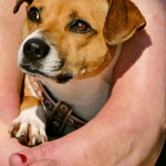 Программы лояльности казино без депозита в уютной домашней атмосфере