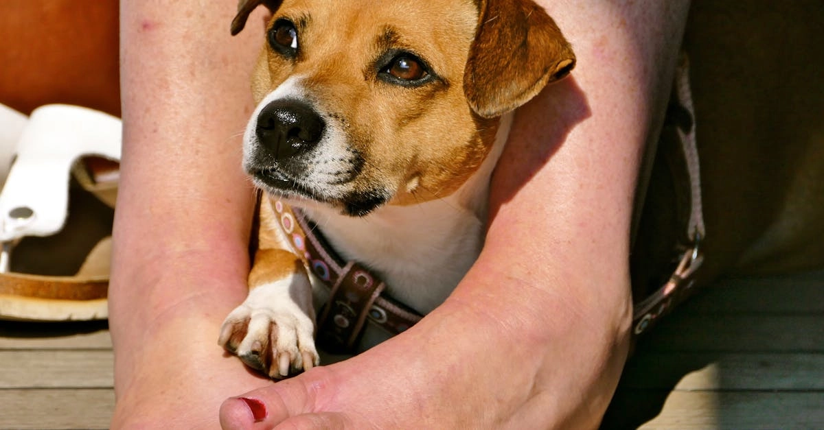 Программы лояльности казино без депозита в уютной домашней атмосфере